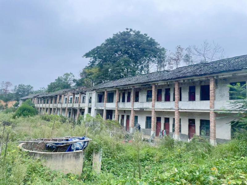 Featured image of post A school that has been abandoned for many years